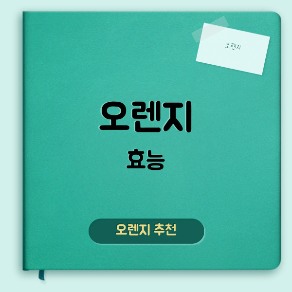 오렌지 효능