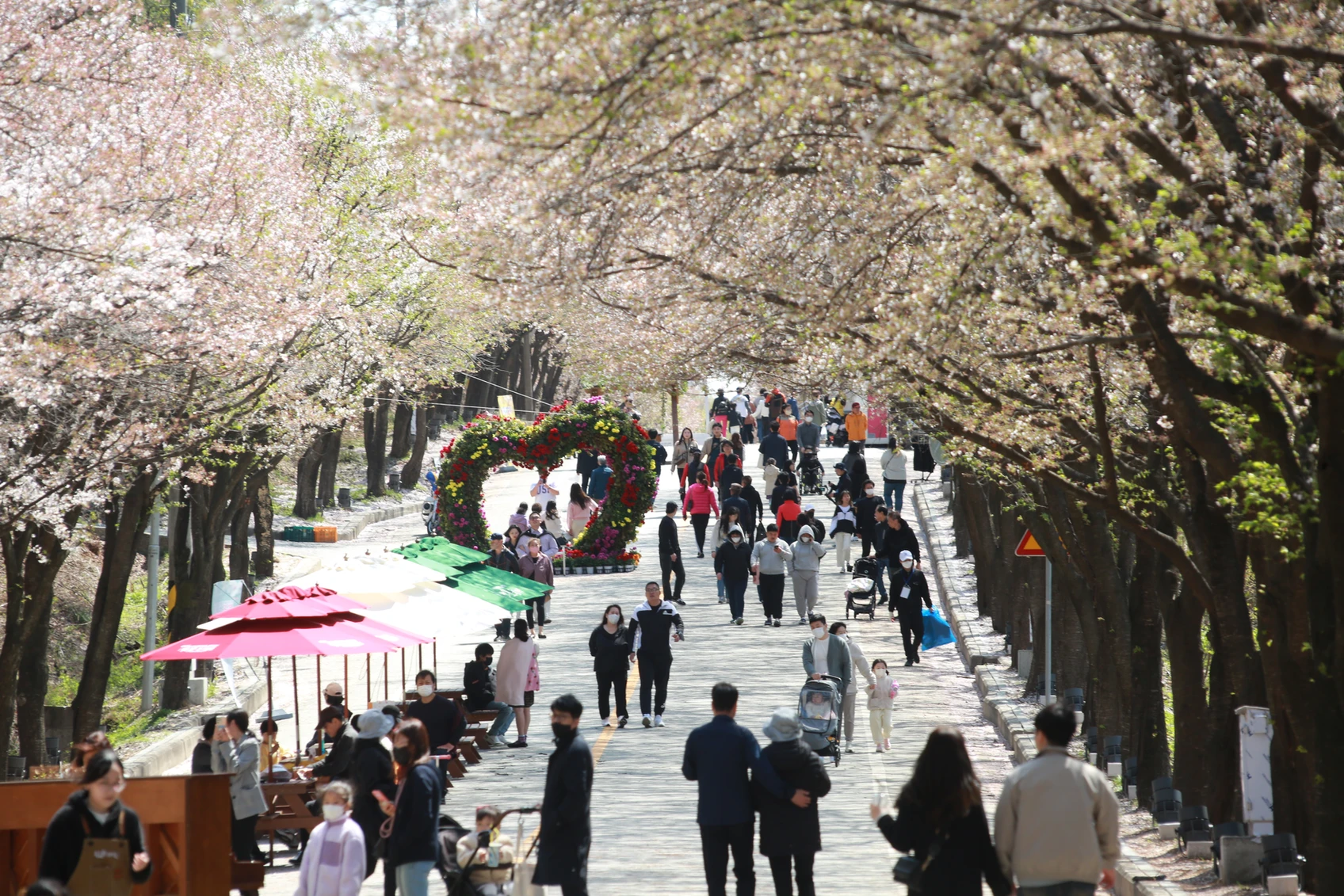 여주흥천남한강 벚꽃축제