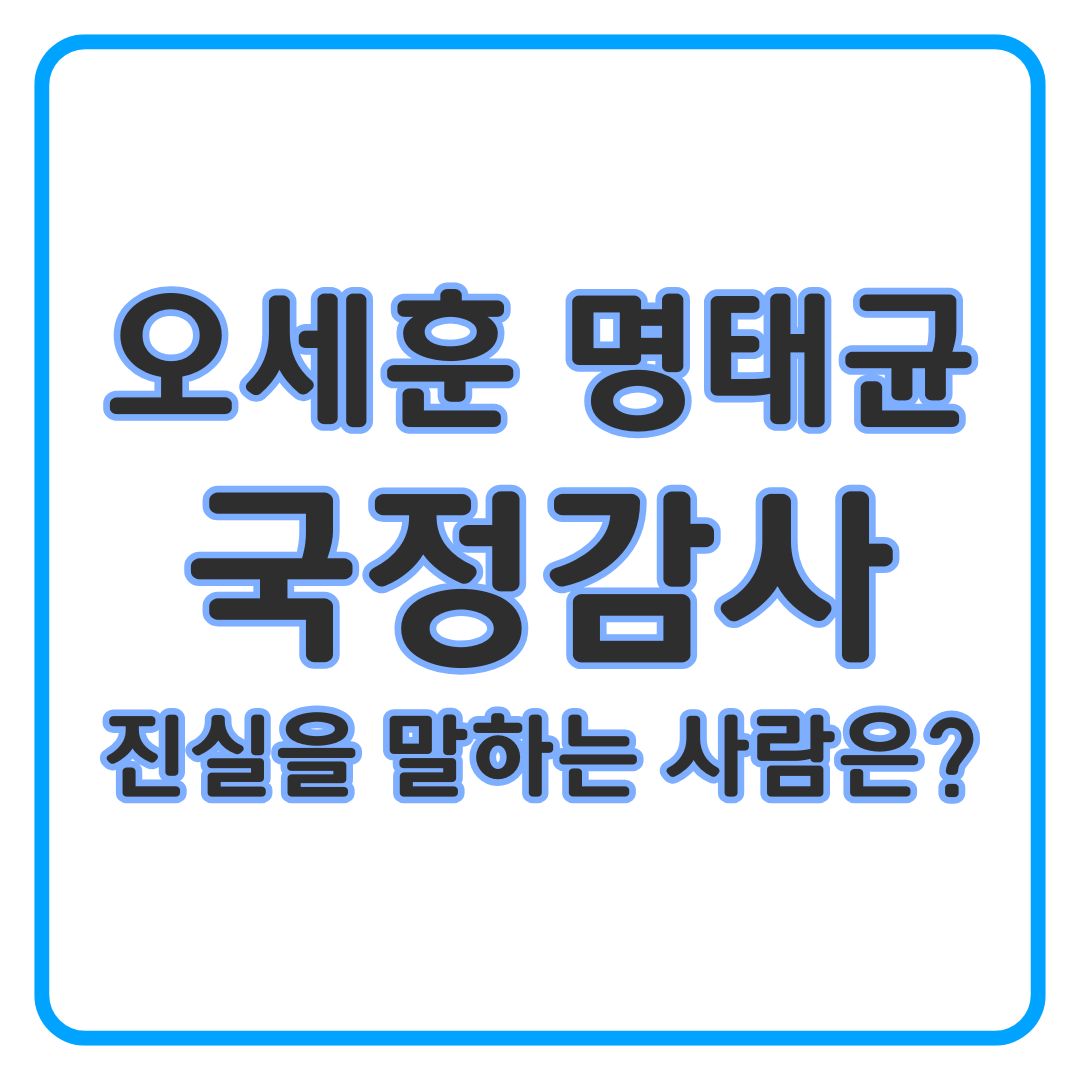 오세훈 시장 명태균 증인 국정감사 공방 총정리 (feat. 김영선 의원)