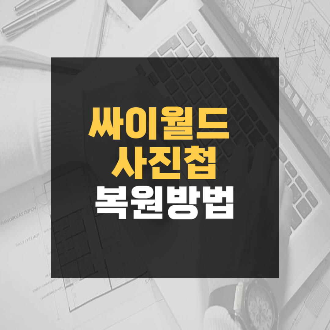 싸이월드 사진첩