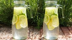 간헐적 단식 물