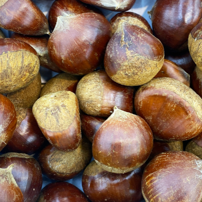 생밤 보관하는 방법4