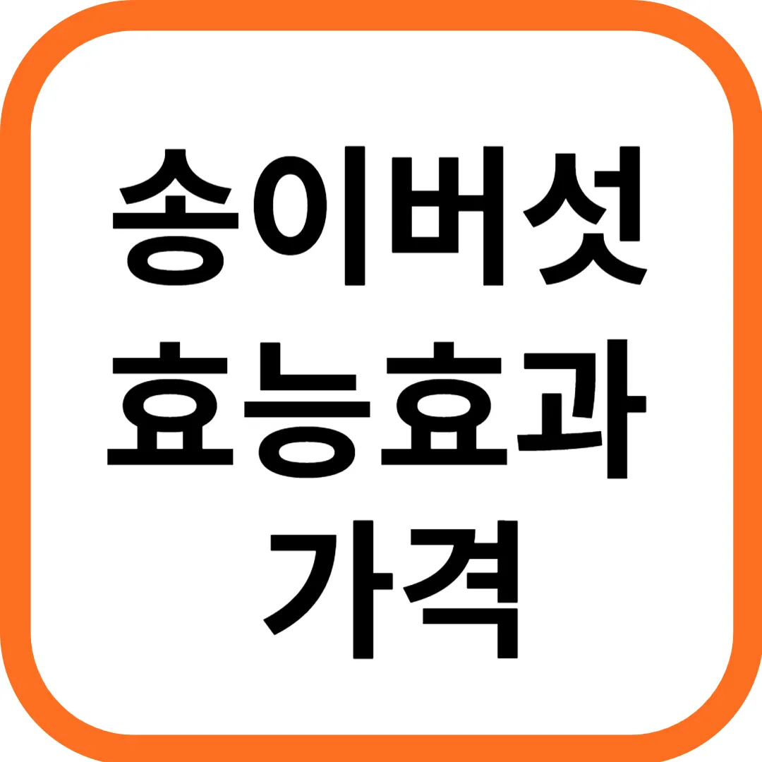 가을 제철식품 송이버섯 효능 효과 및 가격