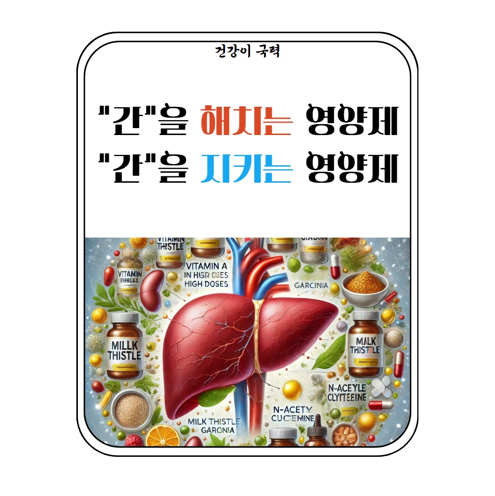 간에 안좋은 영양제
간에 좋은 영양제
