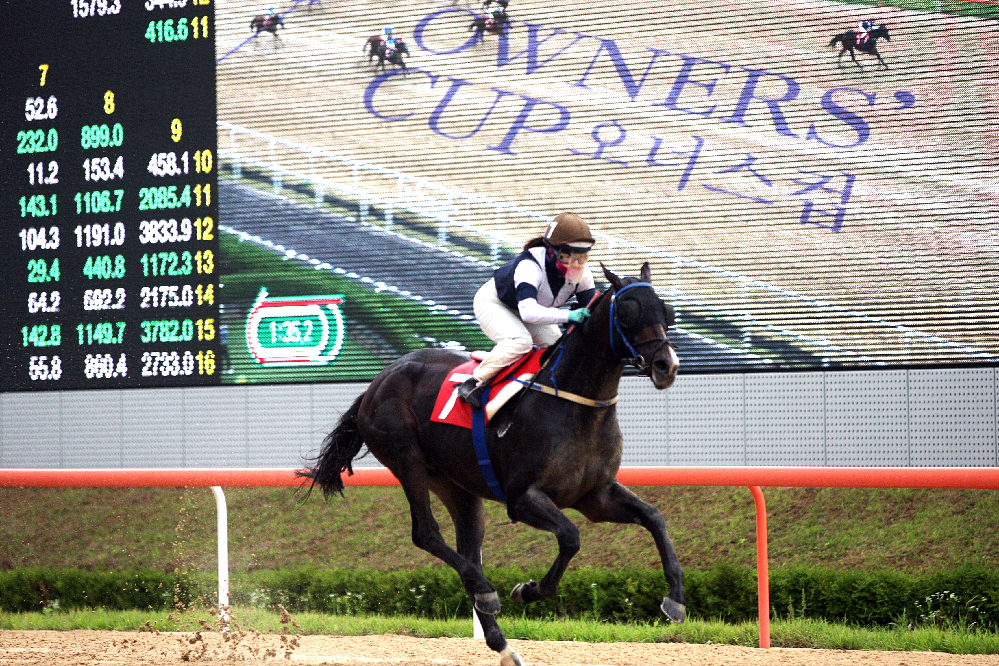 owner's cup 스피드영