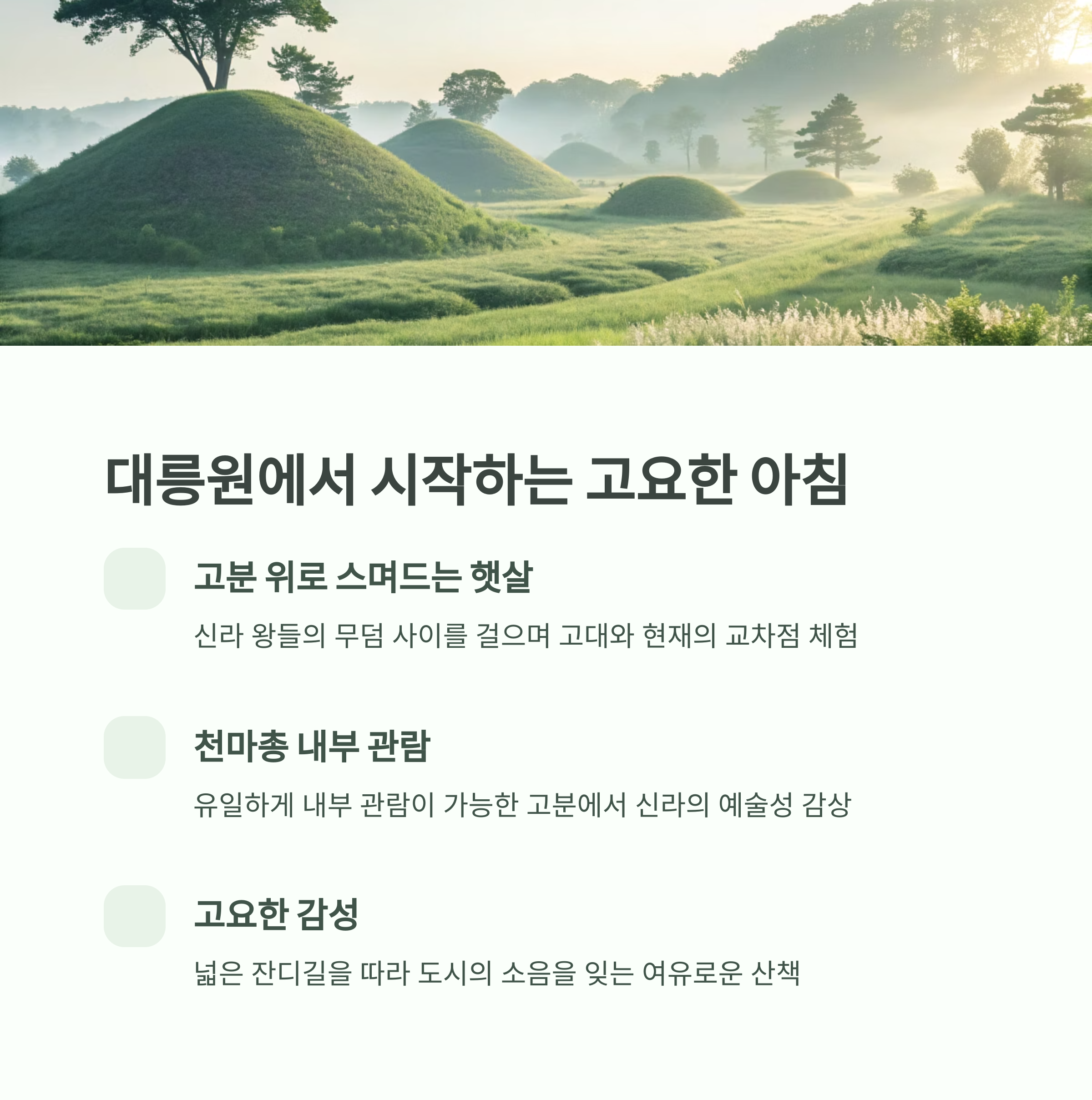 대릉원에서 고요한 아침