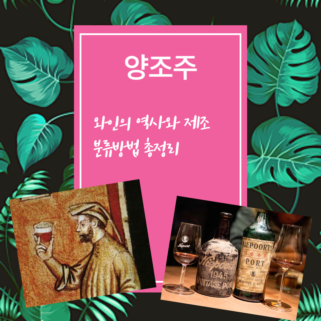 와인의 역사와 제조, 분류방법 총정리