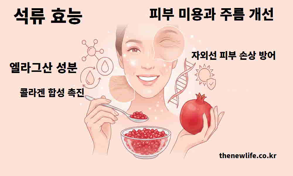 석류 효능 피부 미용 주름 개선