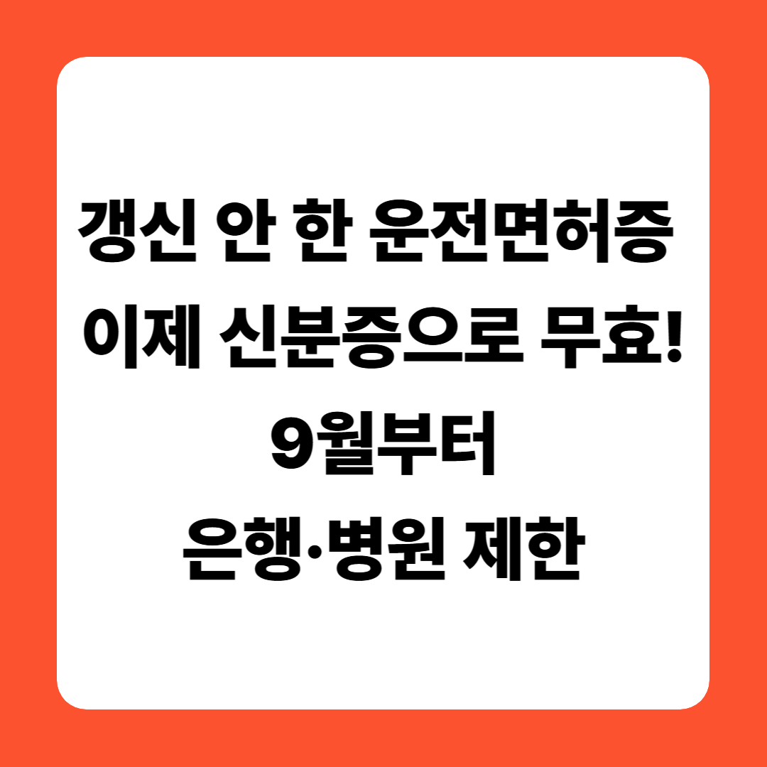 갱신 안 한 운전면허증, 이제 신분증으로 무효! 9월부터 은행·병원 제한