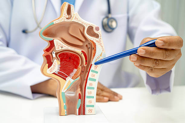 성대결절 치료, 수술보다 음성치료가 먼저! 최신 치료법 총정리
