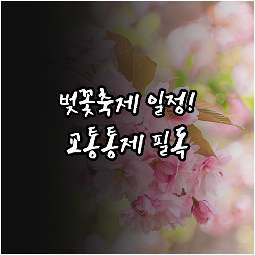 영등포 여의도 봄꽃축제 일정 교통 통..