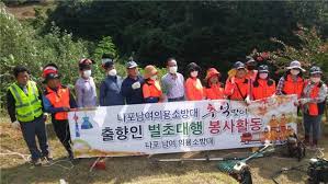 벌초대행 가격비교