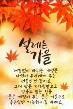 가을이미지