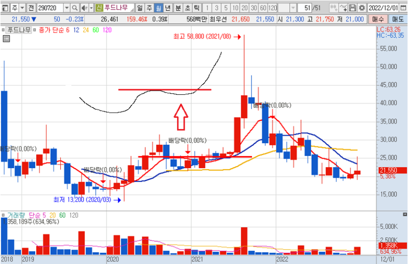 푸드나무 월봉 차트