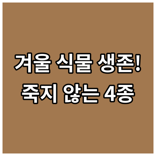 겨울철 빛 부족과 건조함에 강한 실내..