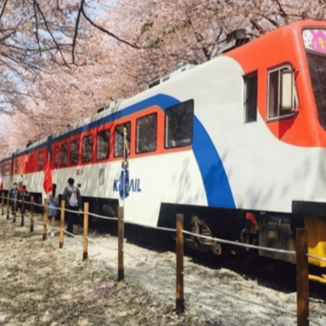 https://www.yeogi.com/content/dom-ko-jinhae-pension-bx2-2025-jinhae-gunhangje?srsltid=AfmBOopZZ_PE-xJxEoesEB6lyUMqcsXI3T7Z_iLMV4IxYrdmJ-32FVNU