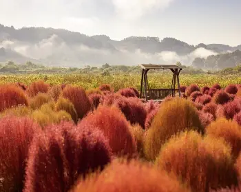 임진강 댑싸리공원_13