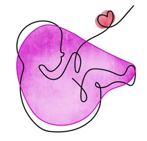 뱃속의 아기 일러스트