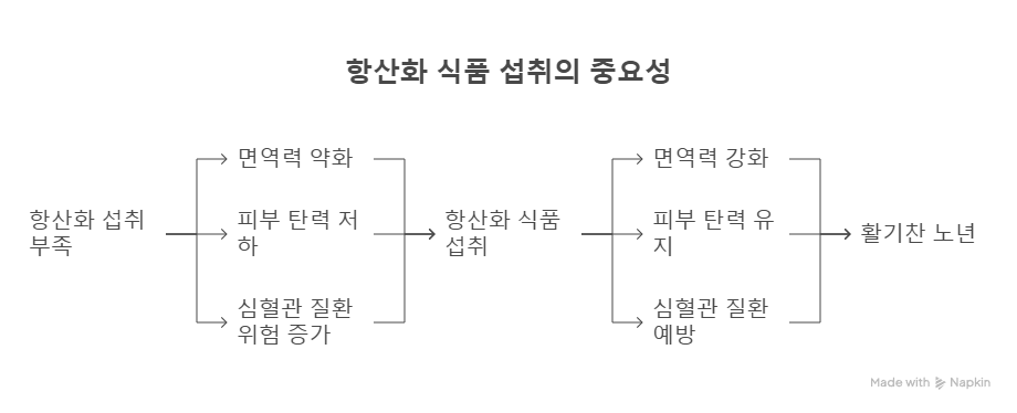 항산화 식품의 중요성