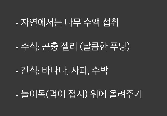 챔피언을 위한 특식, '먹이'는 어떻게 줄까?