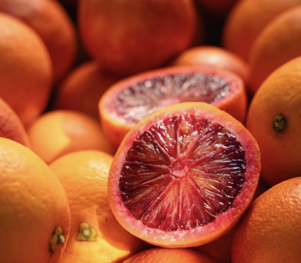 모로오렌지 이미지