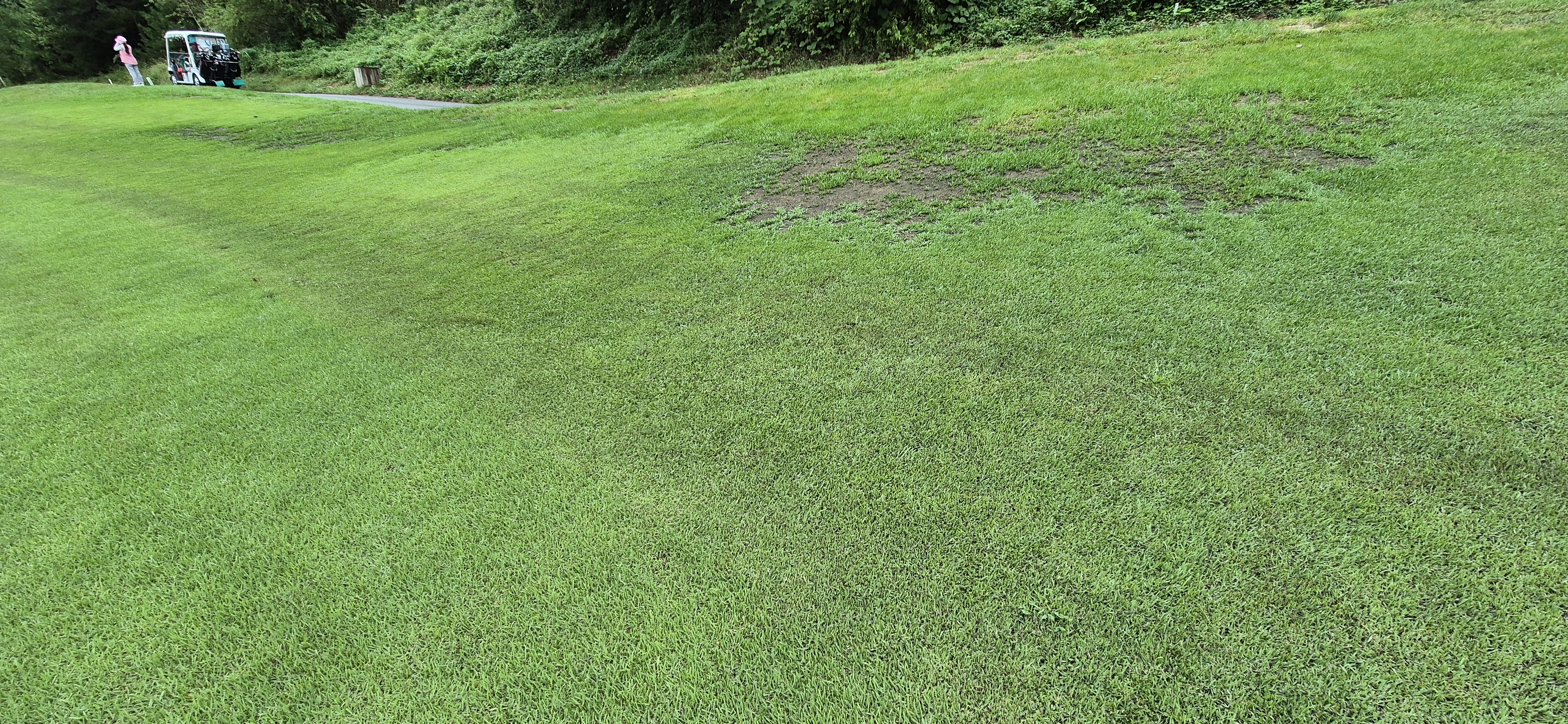 더플레이어스cc