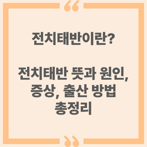 전치태반이란? 전치태반 뜻과 원인, 증상, 출산 방법 총정리