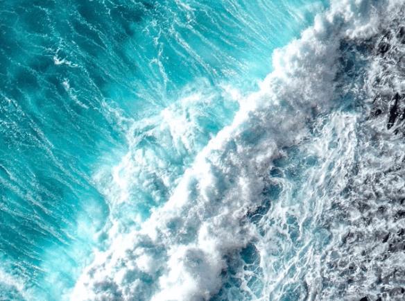 5월 바다 밥상 이벤트 신청하기