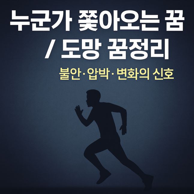 누군가 쫓아오는 꿈 / 도망 꿈 해몽 총정리(최신)