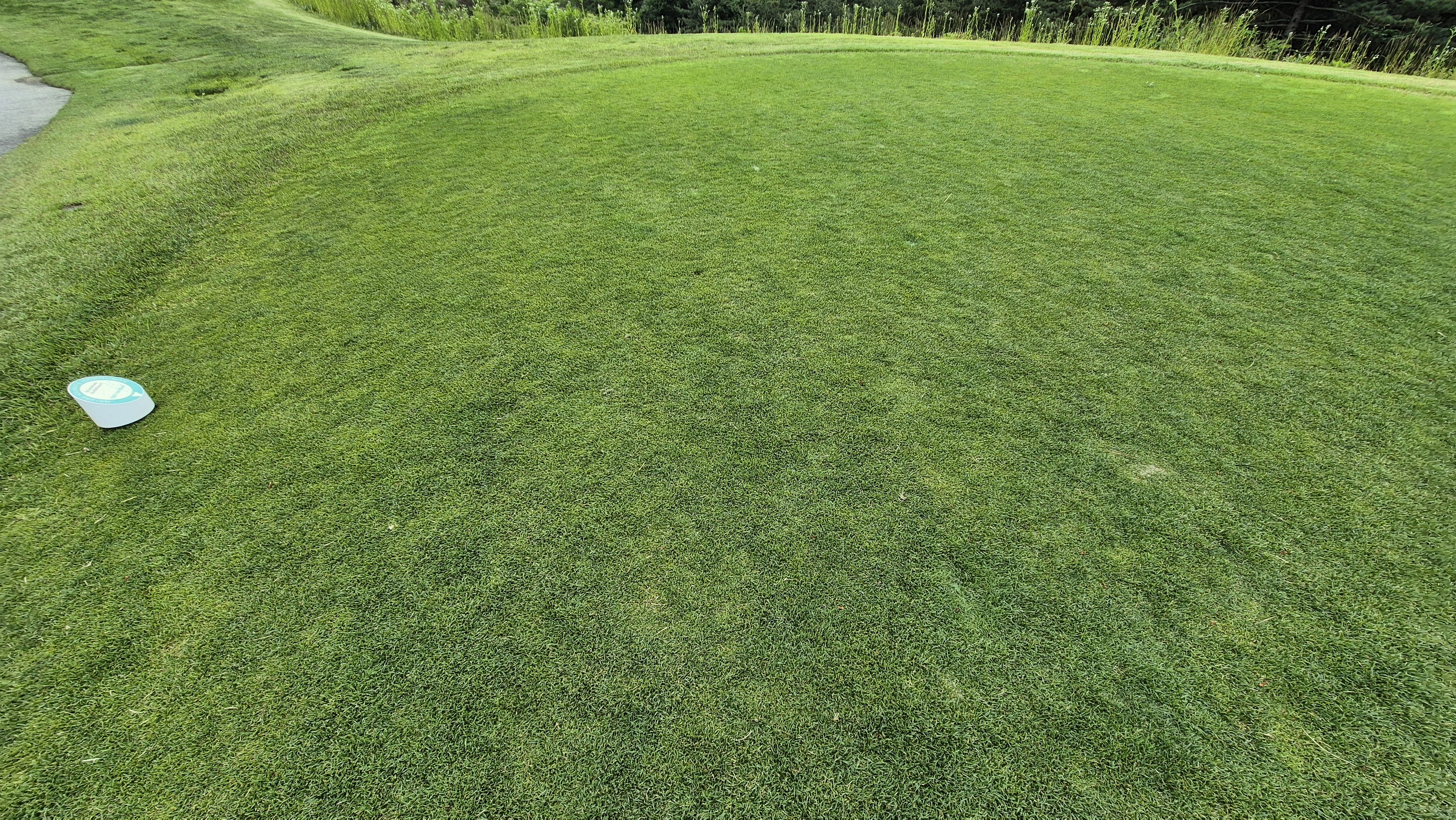 샴발라cc 라운드 후기