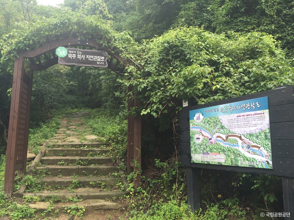 2024 가을 여행지 단풍 명소 추천