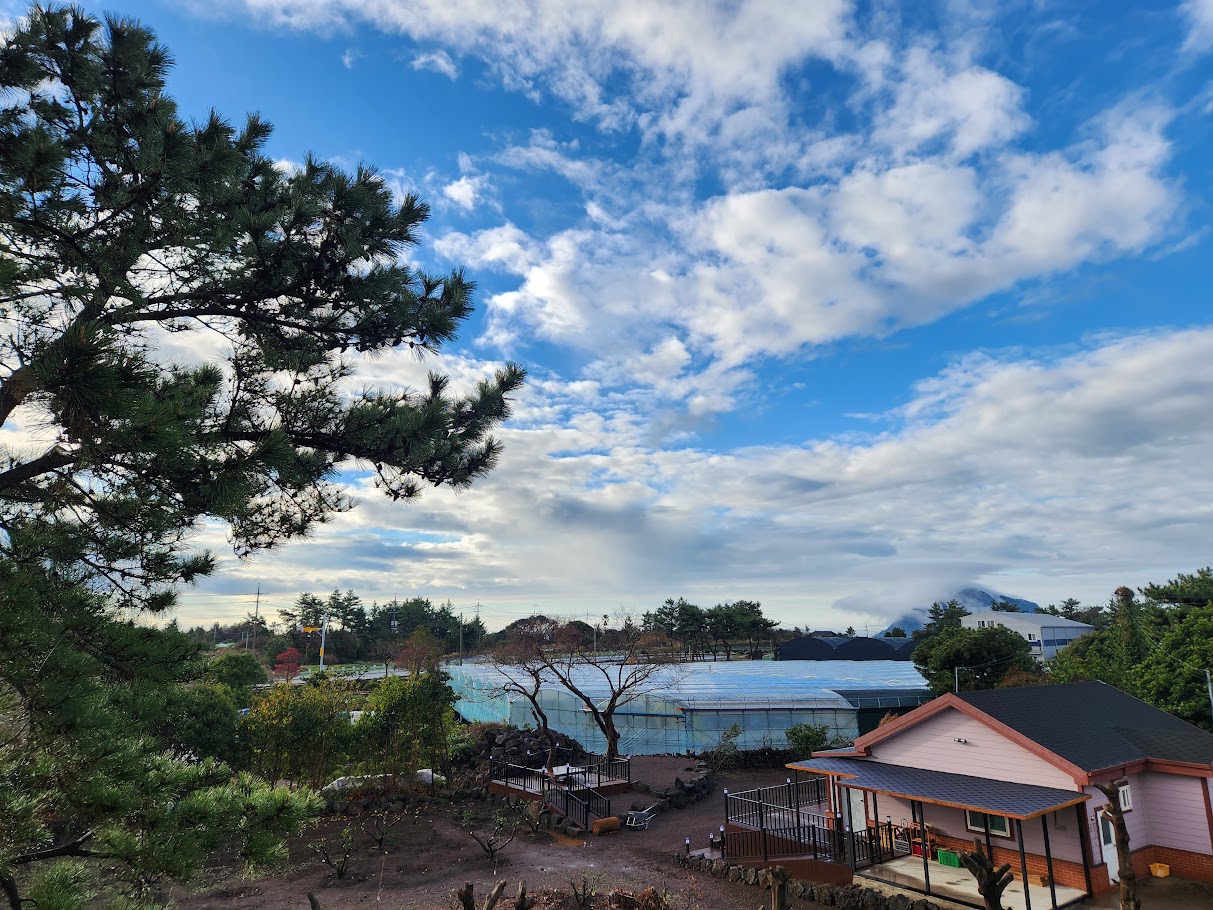 산방산보이는 오른쪽 창가