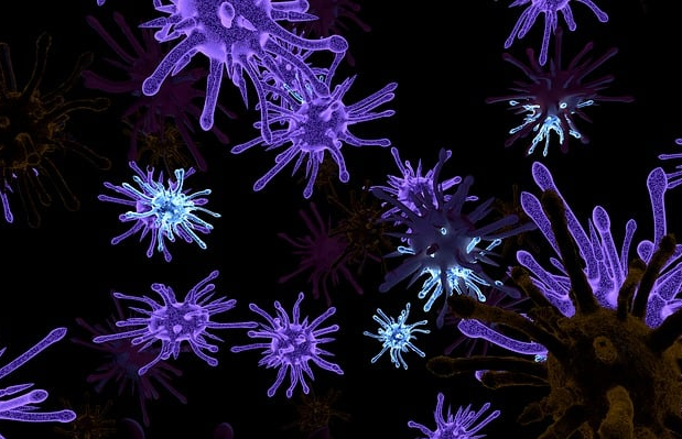 생활환경균과 총부유세균의 차이점