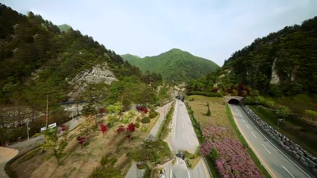 구문소 진입로와 단풍산 능선, 한적한 도로 전경