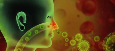 축농증 원인, 증상, 치료 총 정리 (2025 최신)