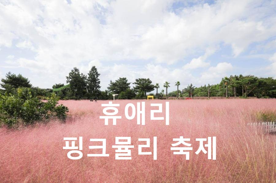 휴애리핑크뮬리축제