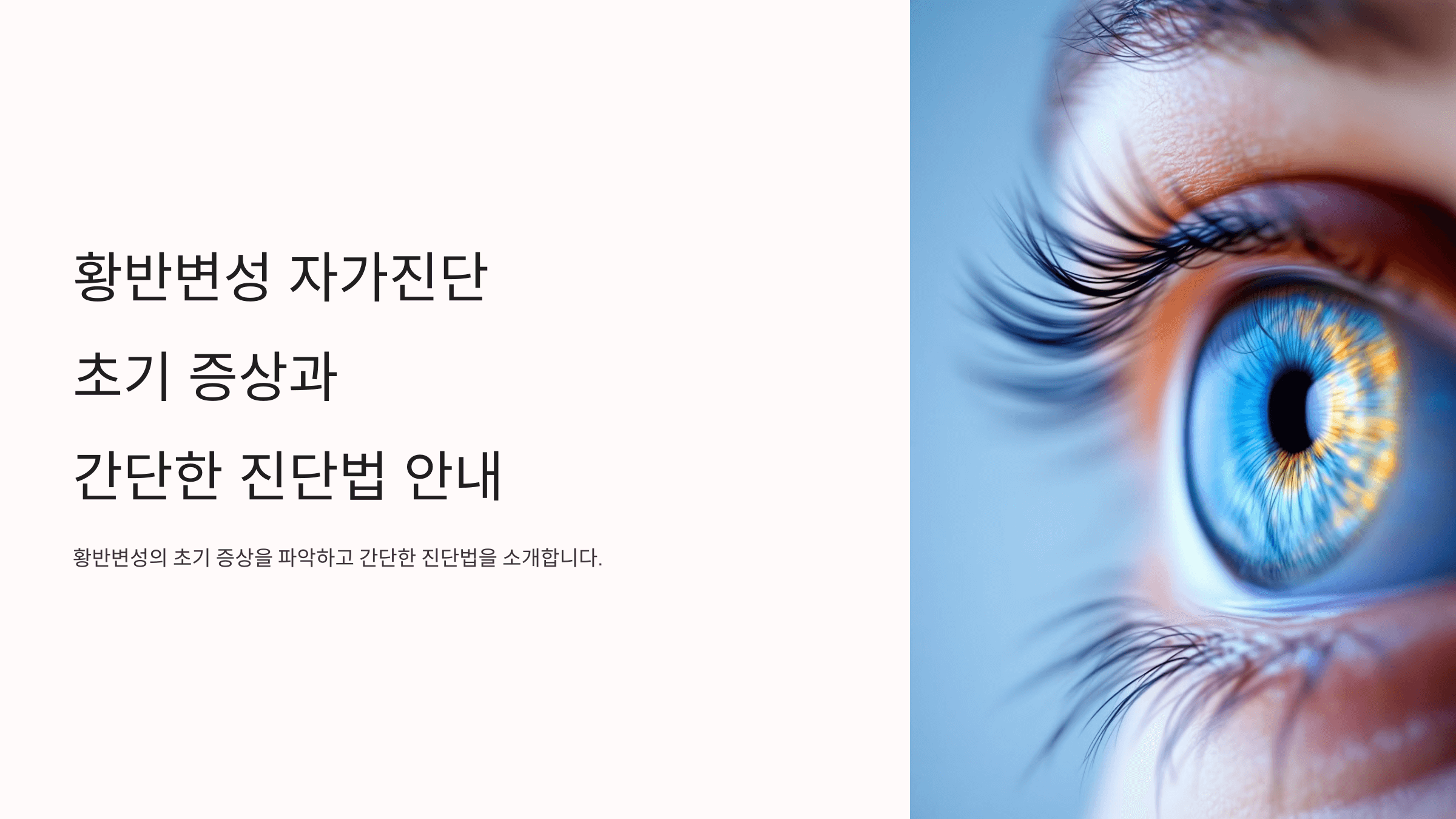 황반변성과 관련된 사진입니다.