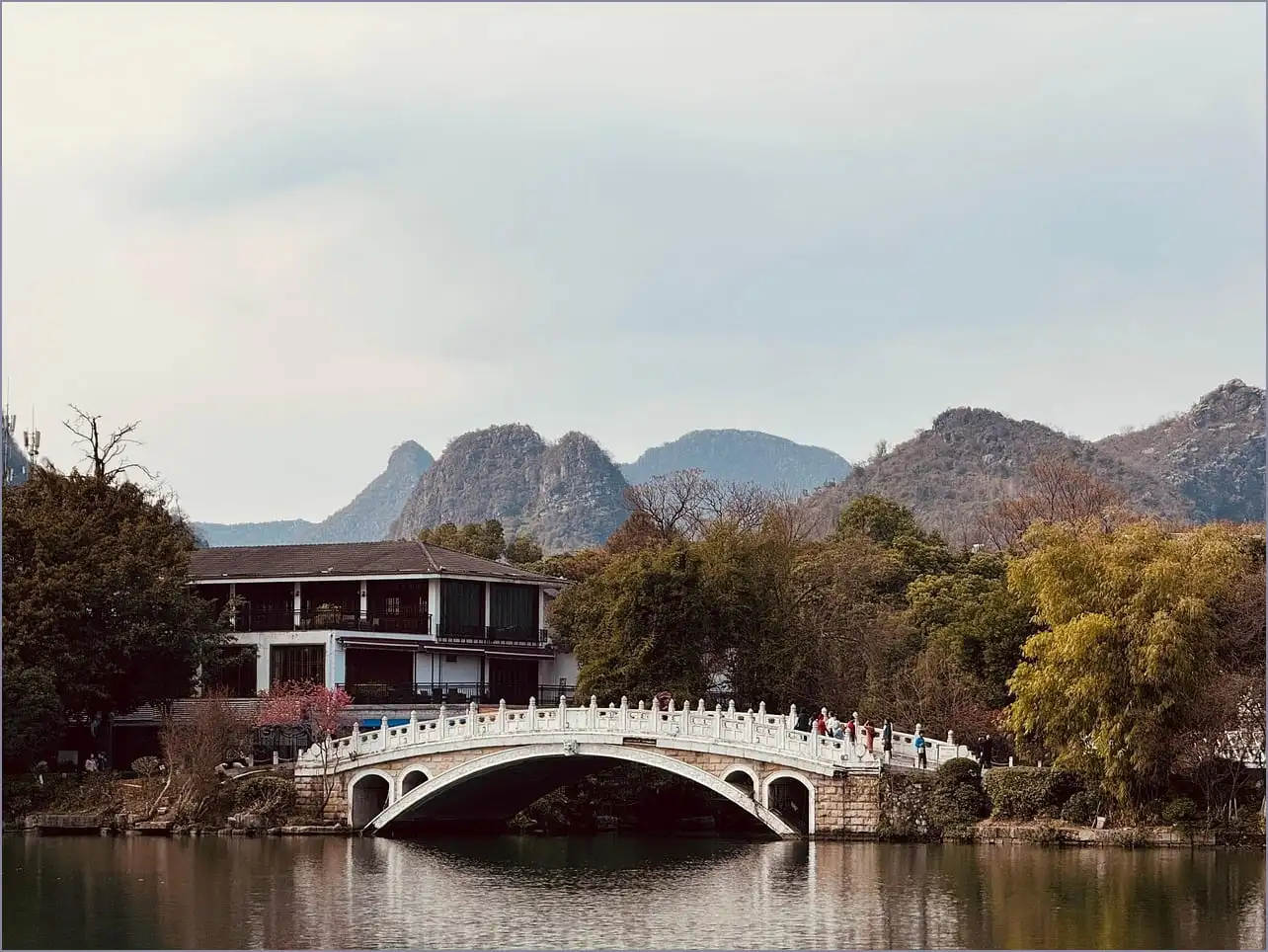 알약 무료 다운로드