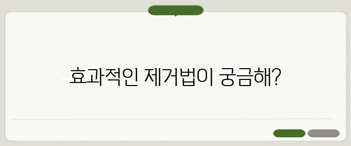 유성매직 지우는법 가죽·벽면별 제거법
