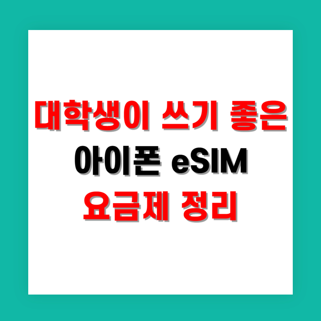 대학생이 쓰기 좋은 아이폰 eSIM 요금제 정리