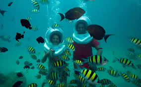  산호섬 코란(Koh Larn) 다양한 엑티비티 (출처:트립닷컴/쿨룩/인터파크 투어)