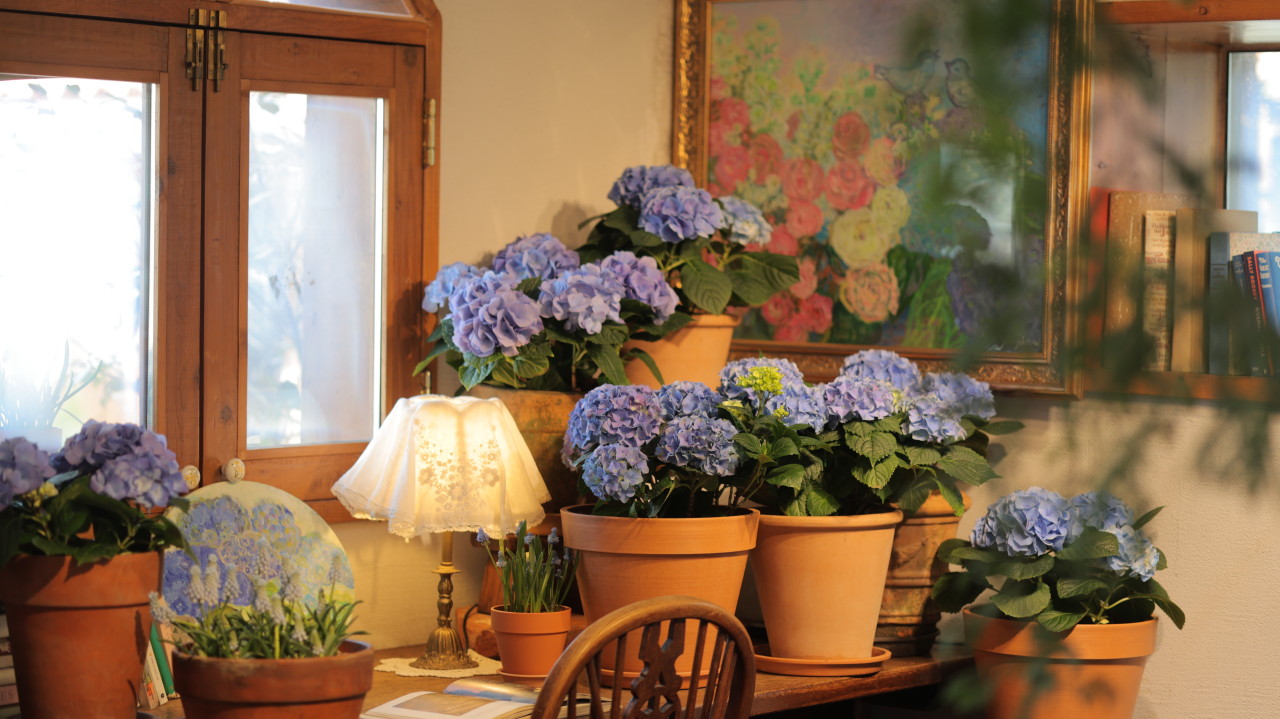 인천 로즈스텔라정원