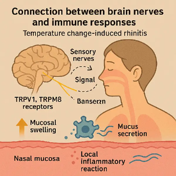 뇌신경과 면역반응이 연결되어 있다는 과학적 근거