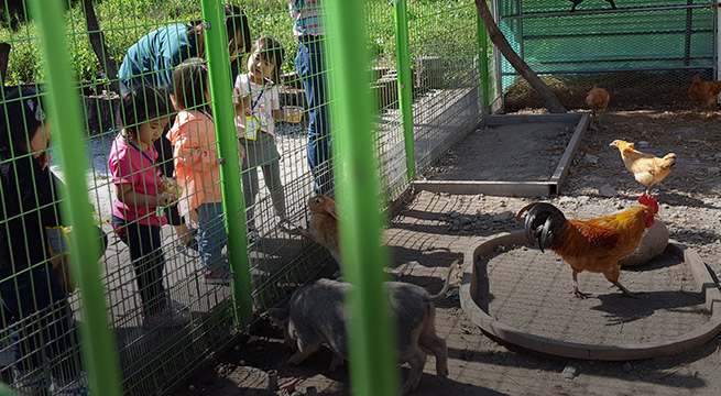 6시 내고향 무주 카페 캠핑 체험 무주눈꽃덕유캠프