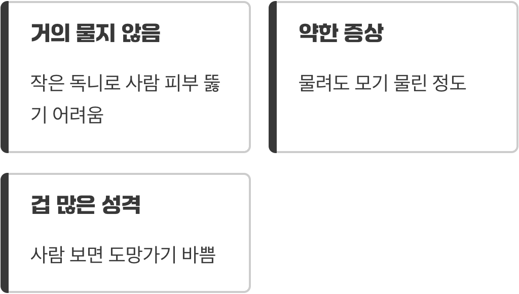 사람을 무나요? 가장 궁금한 질문