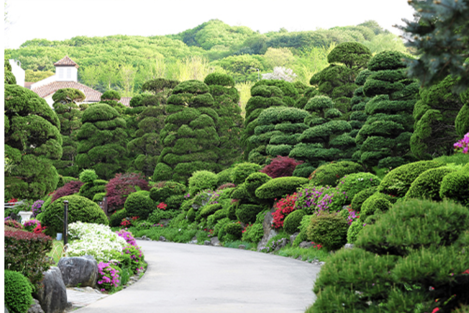 베어트리파크 단풍축제