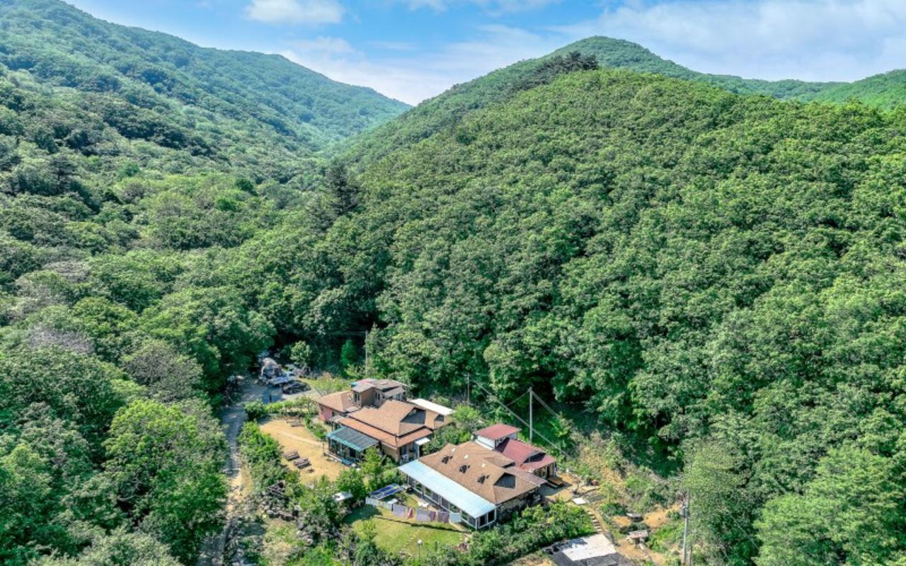 곰배령 예약하기