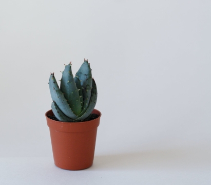 마데카솔-겔-파는곳