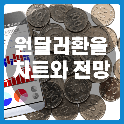 원달러환율차트와전망