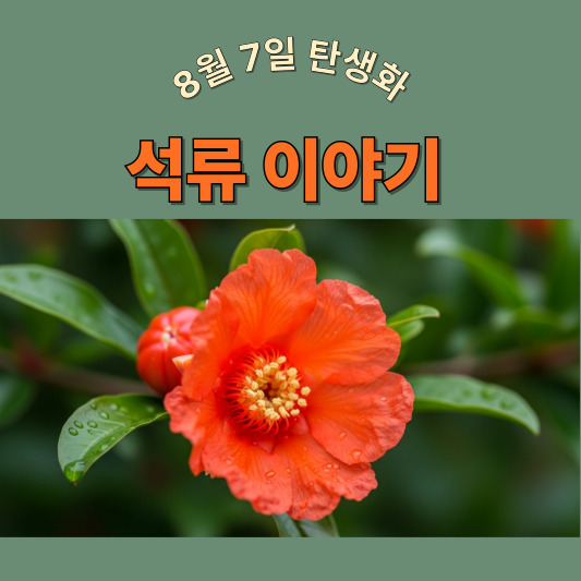 8월 7일 탄생화, 석류